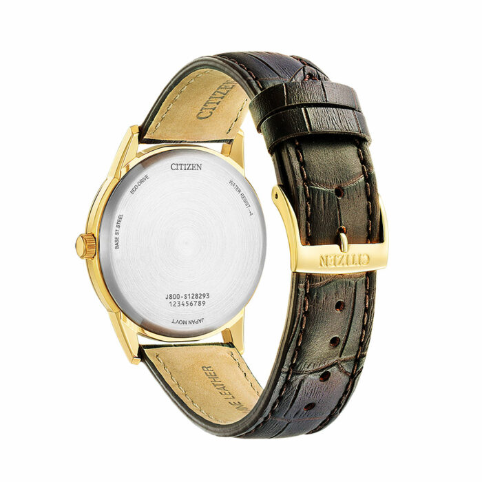Citizen Classic Eco-Drive Uhr AW0102-13A – Bild 2