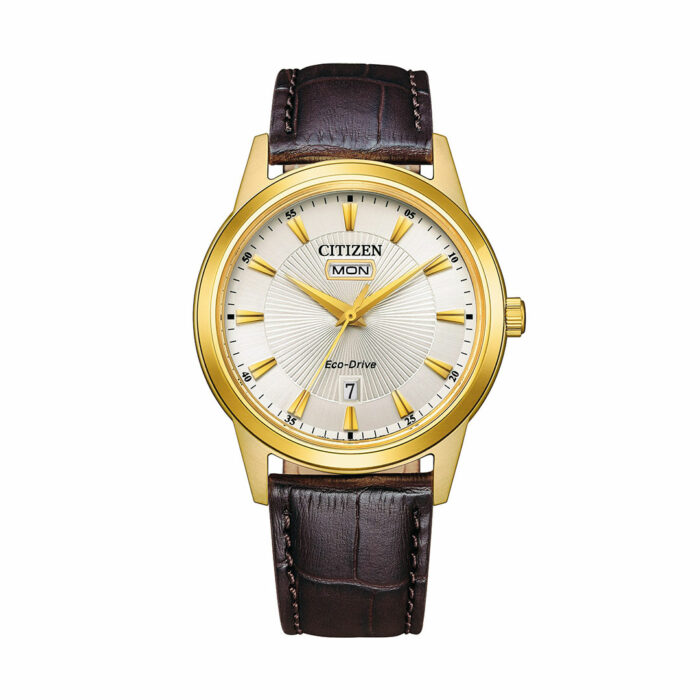Citizen Classic Eco-Drive Uhr AW0102-13A